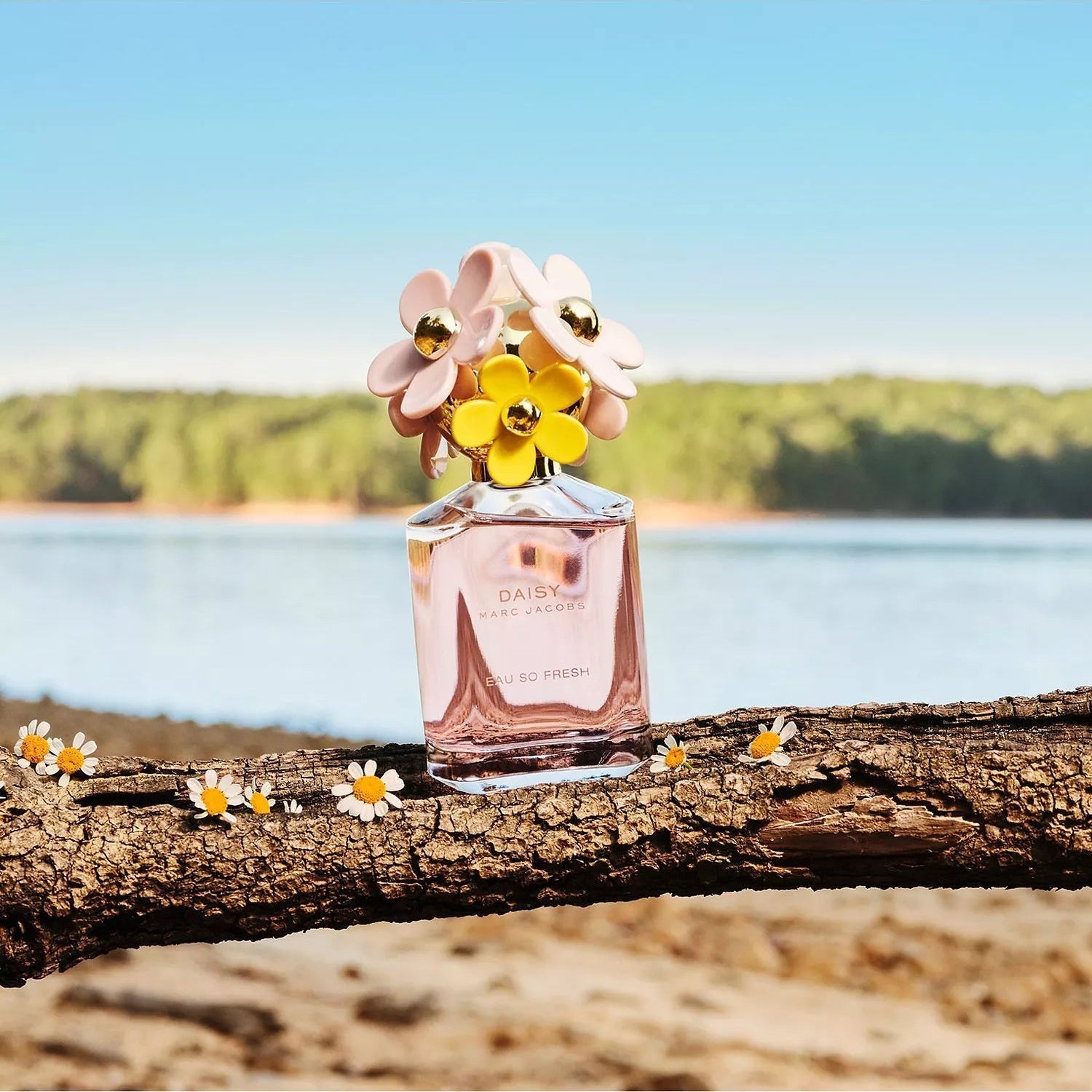 Marc Jacobs Daisy Eau So Fresh EDT Gift Set