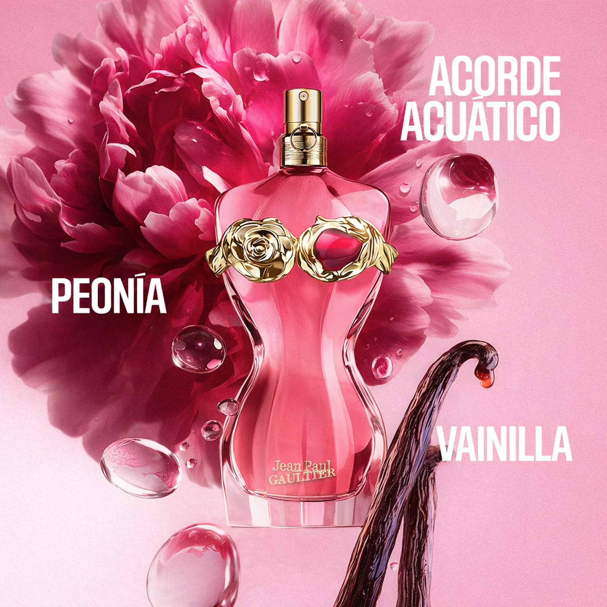Jean Paul Gaultier La Belle Rosea EDP fragrance notes image
