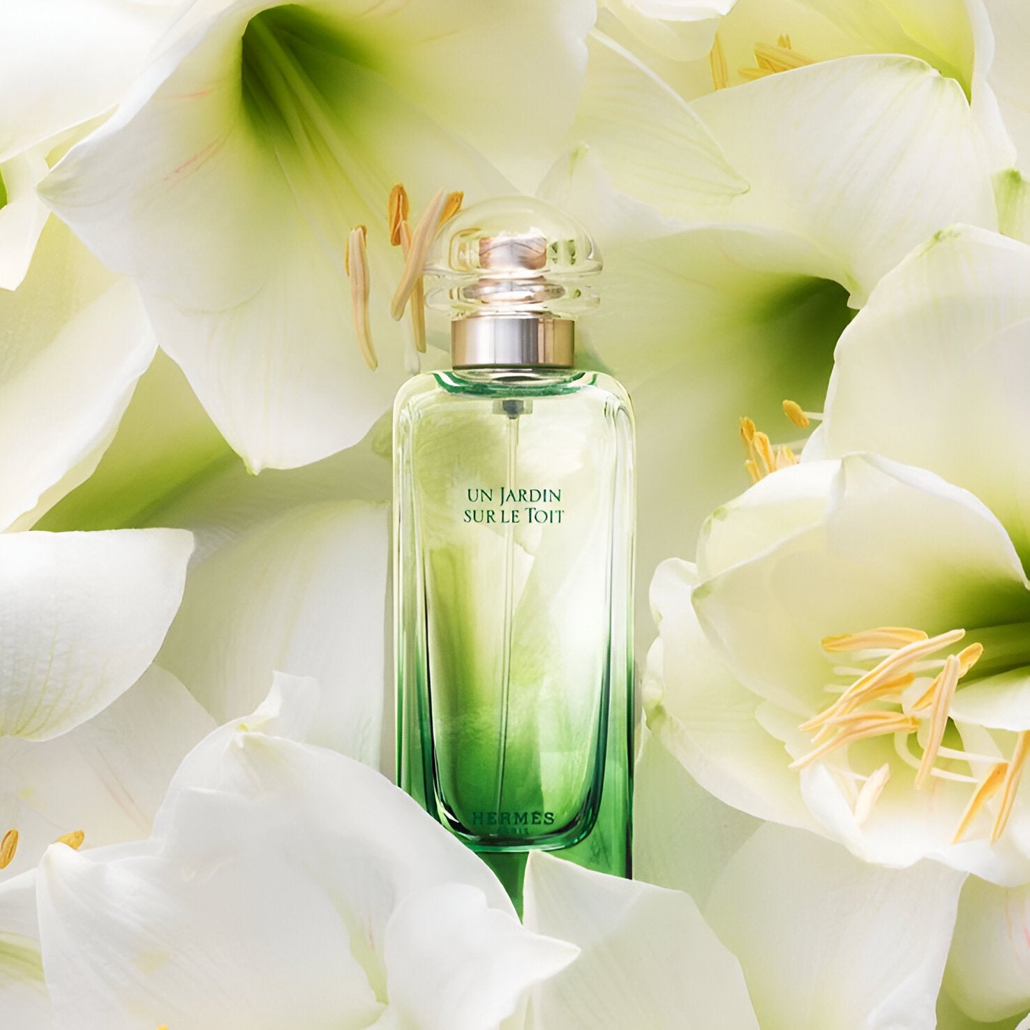 Hermes Un Jardin Sur Le Nil EDT Travel Set