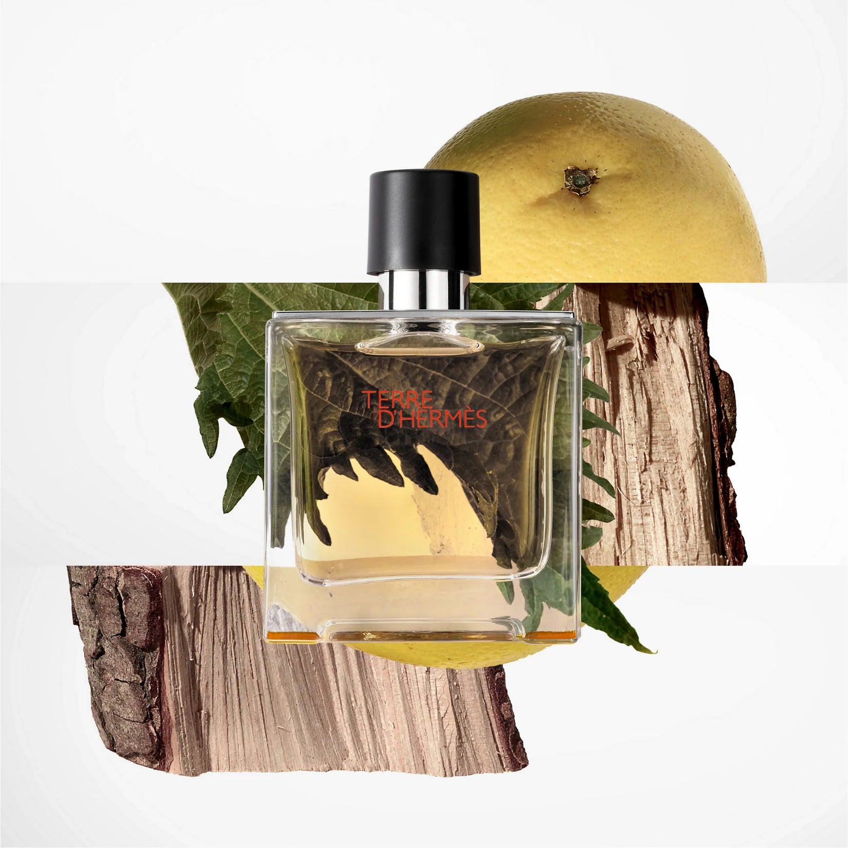 Hermes Terre D'Hermes Parfum For Men Shower Gel Gift Set
