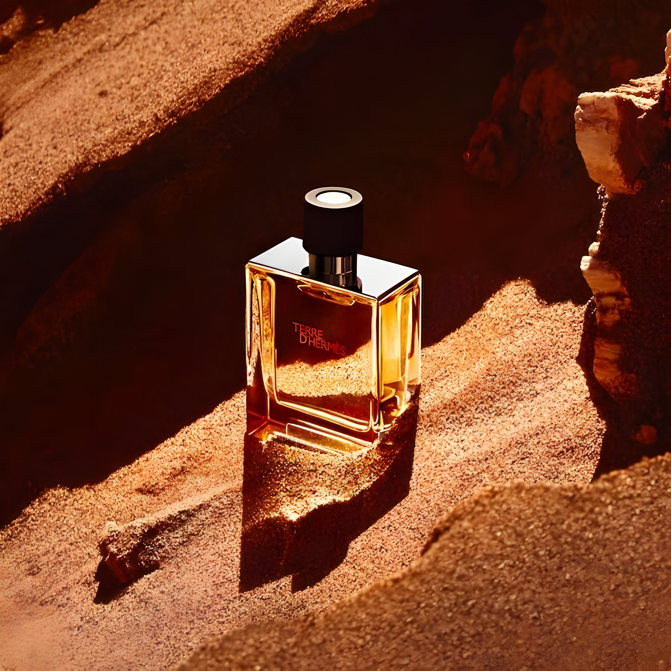 Hermes Terre D'Hermes Parfum For Men Shower Gel Gift Set