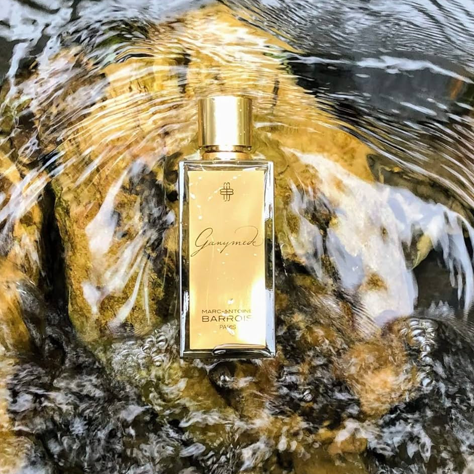 Marc Antoine Barrois Ganymede EDP