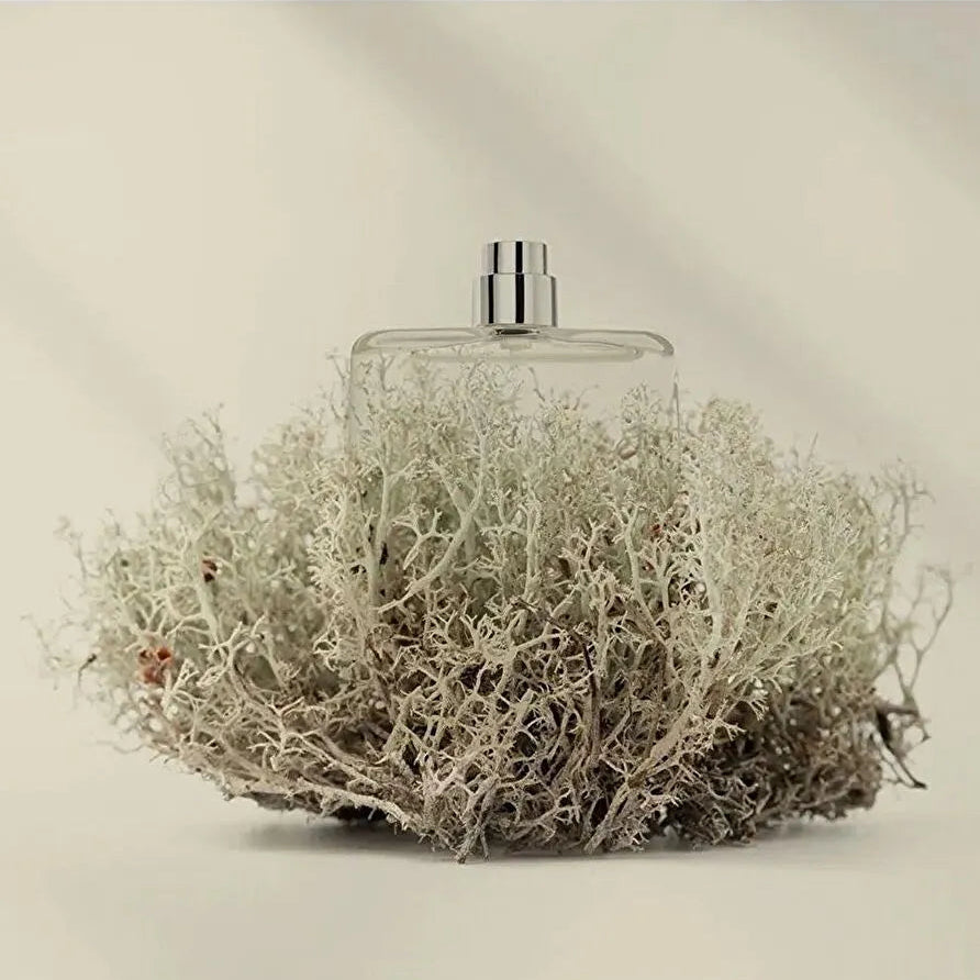 Costume National Scent Intense EDP Gift Set