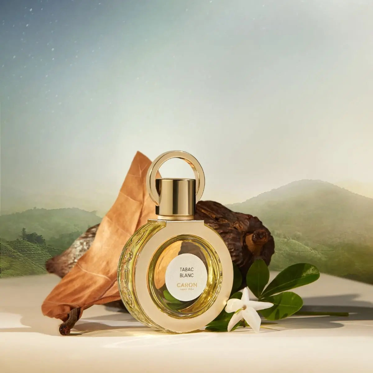 Caron Wood Intensities EDP Discovery Set