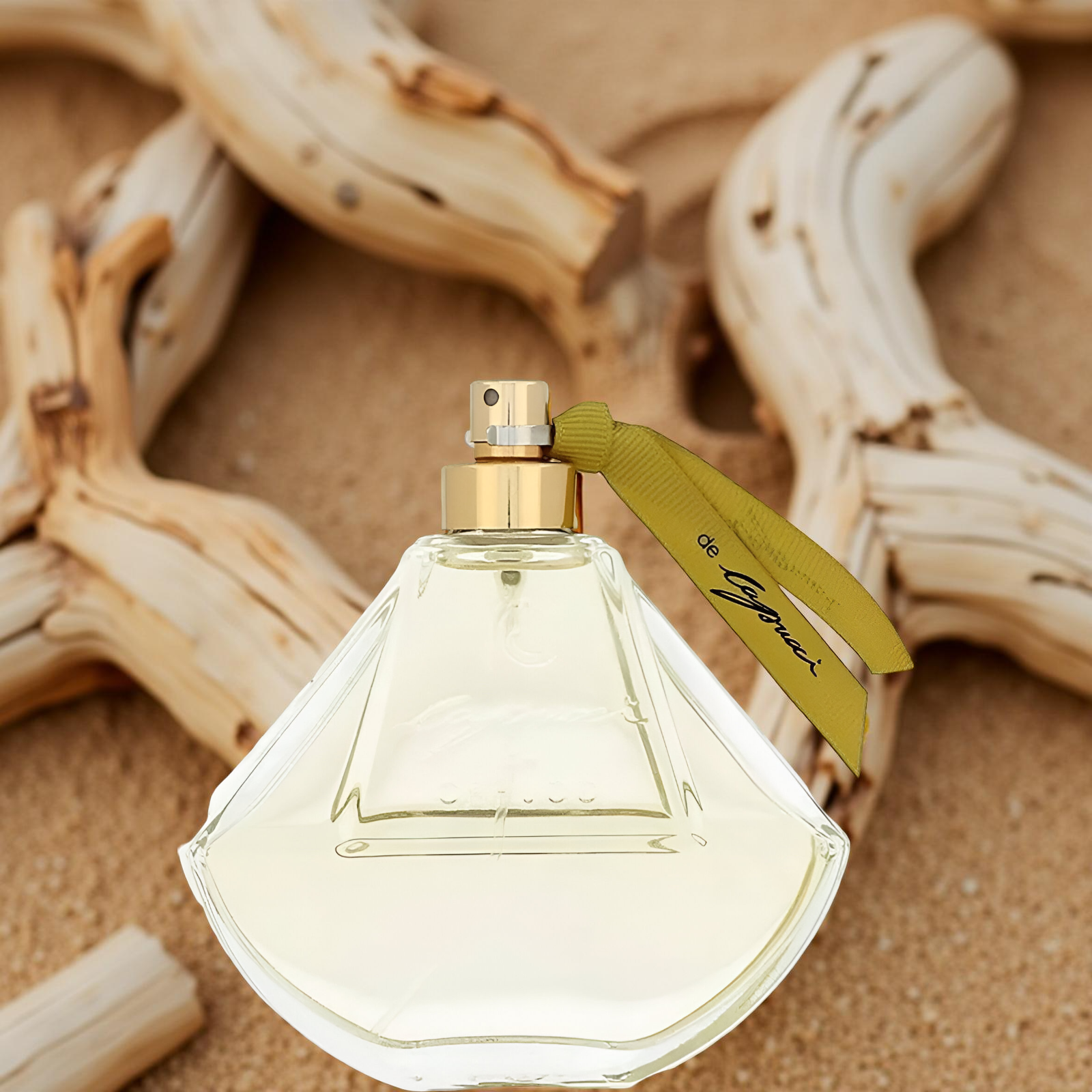 Roberto Capucci De Capucci EDP For Women