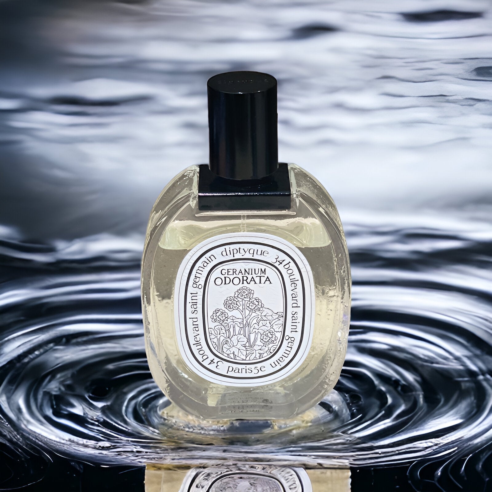 Diptyque Geranium Odorata EDT | My Perfume Shop