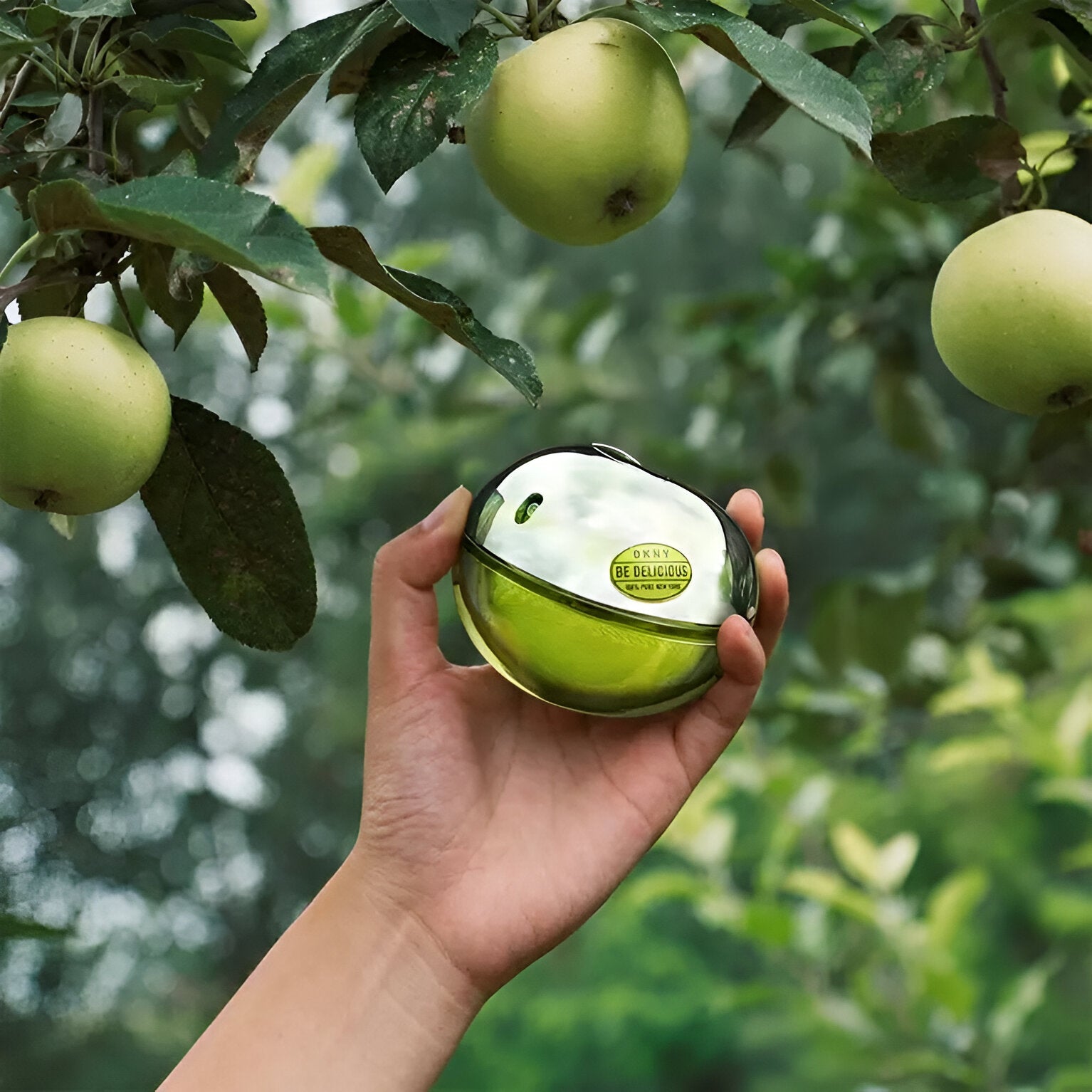 Donna Karan Be Delicious EDP Set for Women | My Perfume Shop