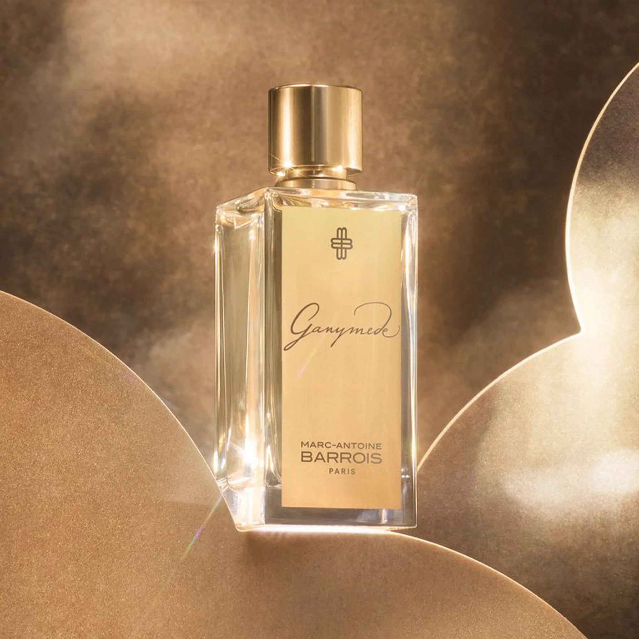 Marc Antoine Barrois Ganymede EDP