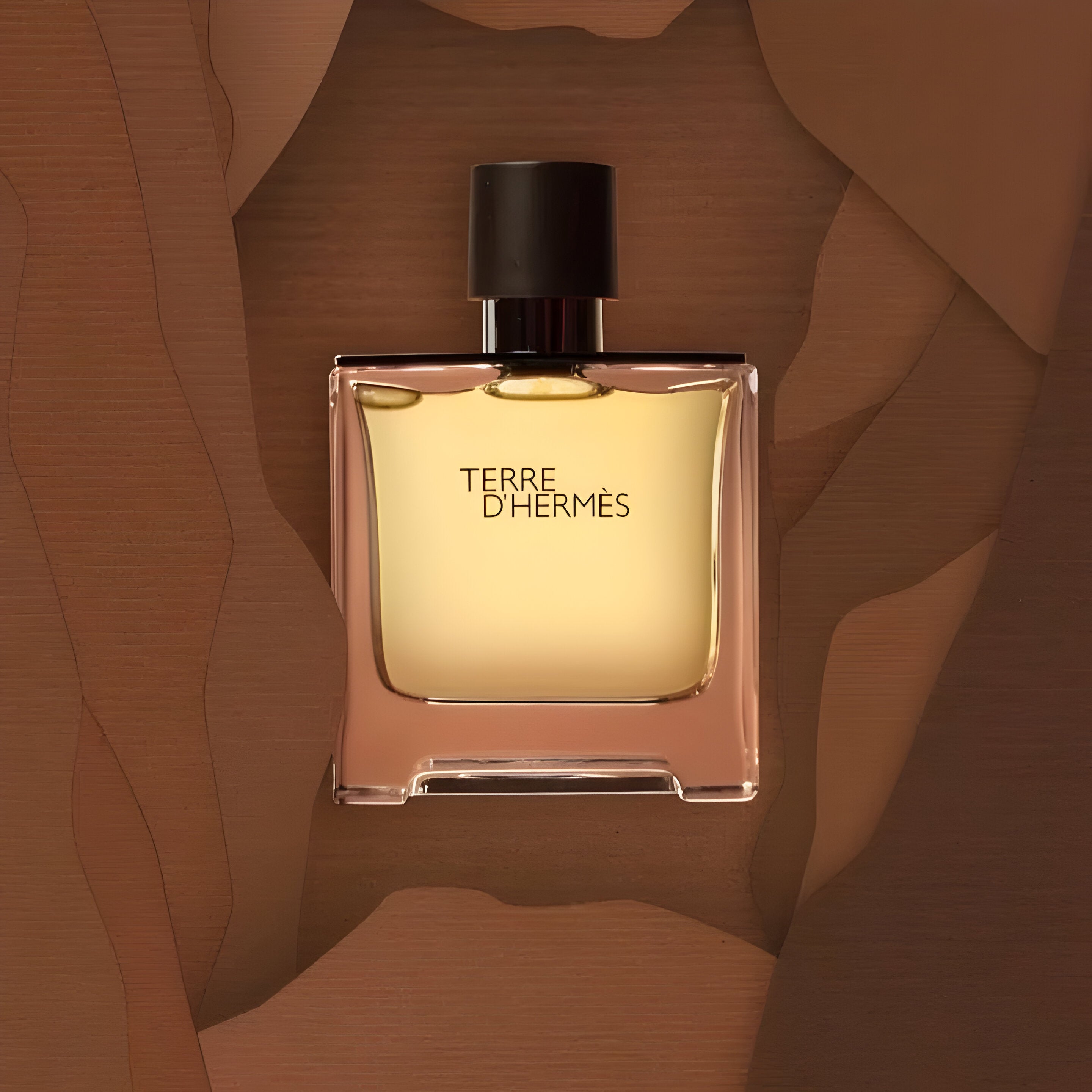Hermes Terre D'Hermes Parfum For Men Shower Gel Gift Set