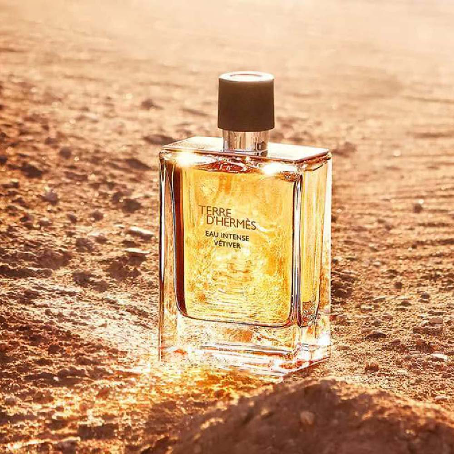 Hermes Terre D'Hermes Parfum For Men Shower Gel Gift Set
