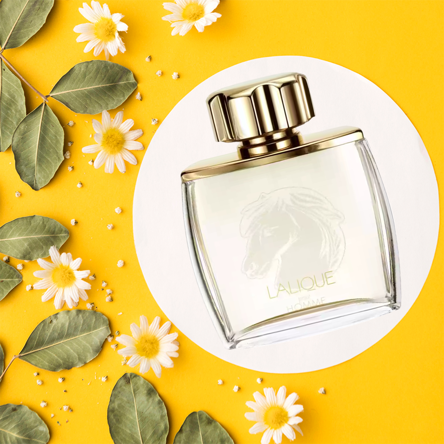 لاليك إيكوس بور هوم أو دو بارفان