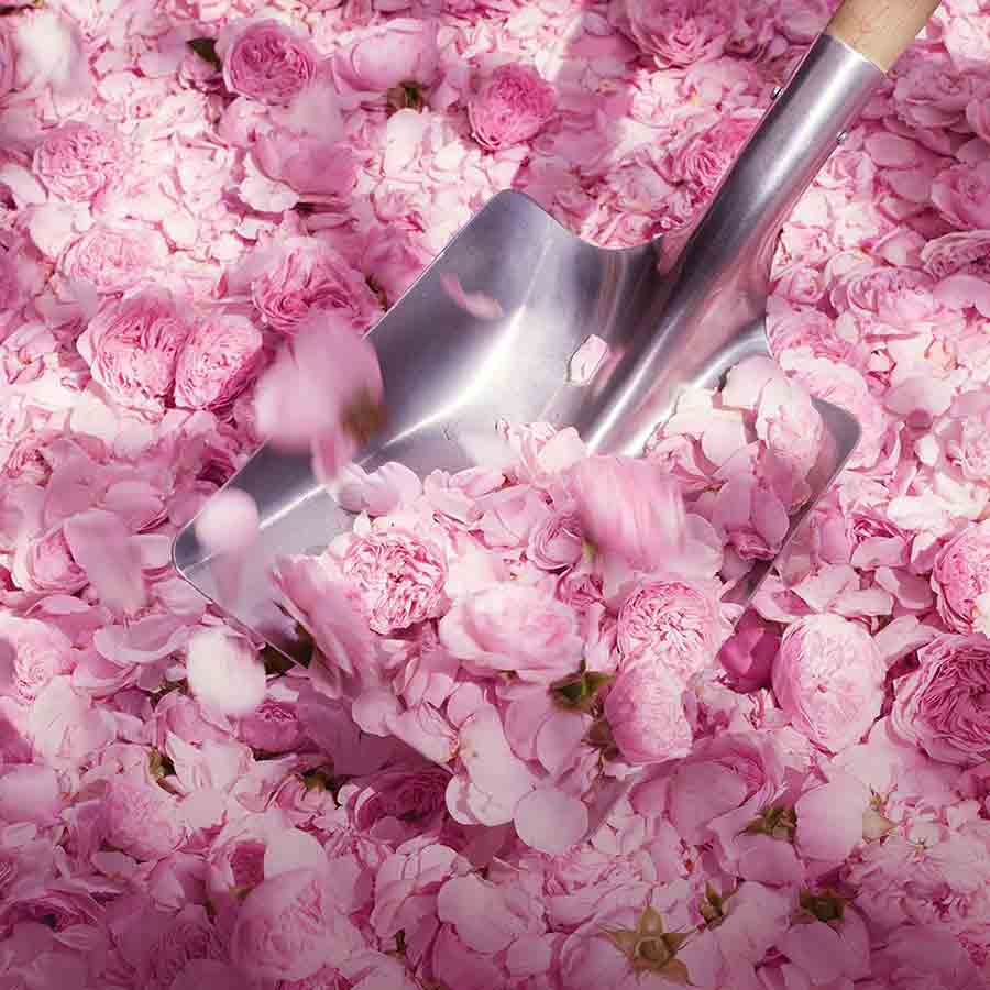 Dior Miss Dior Blooming Bouquet EDT | My Perfume Shop