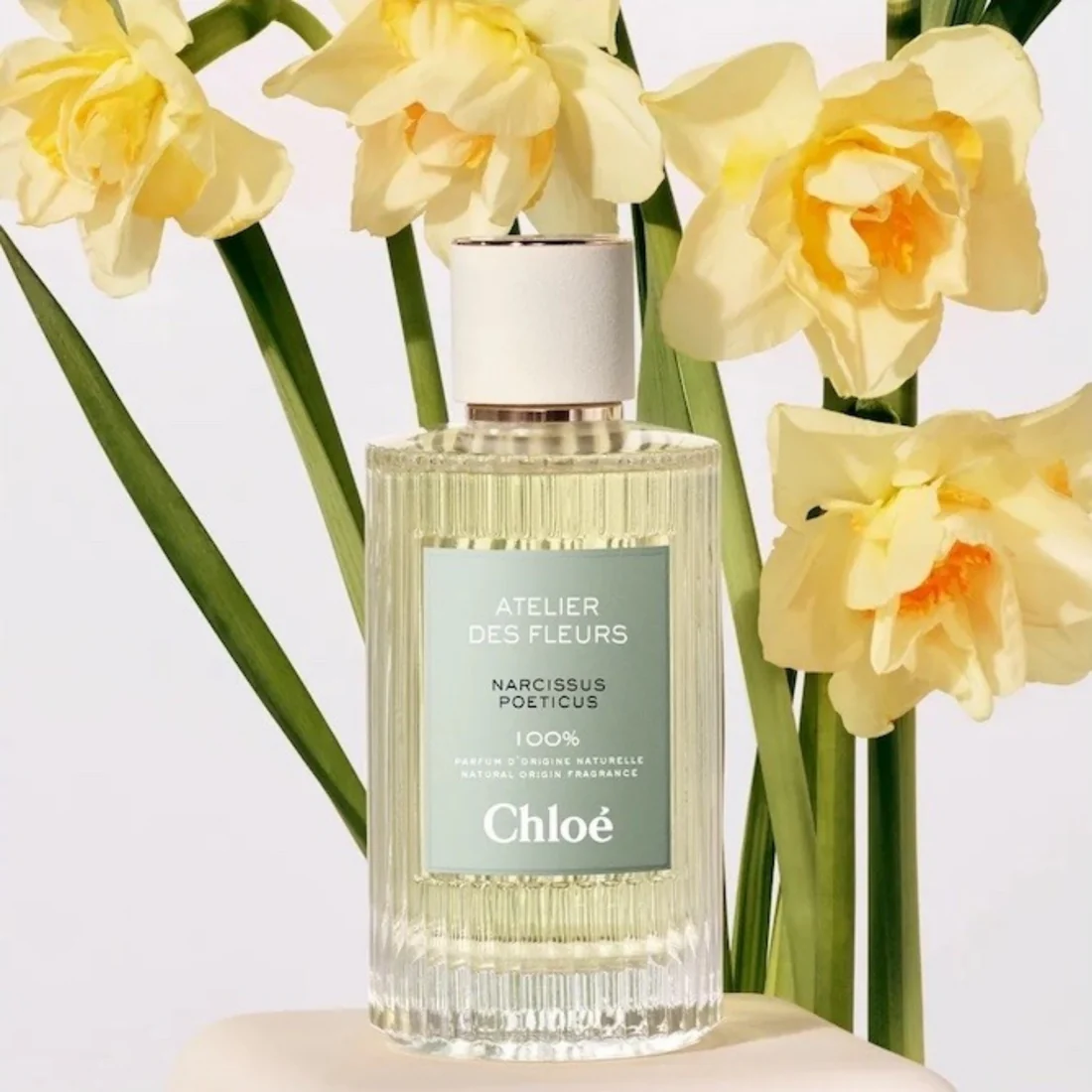 Chloe Atelier Des Fleurs Narcissus Poeticus EDP For Women fragrance details hero image