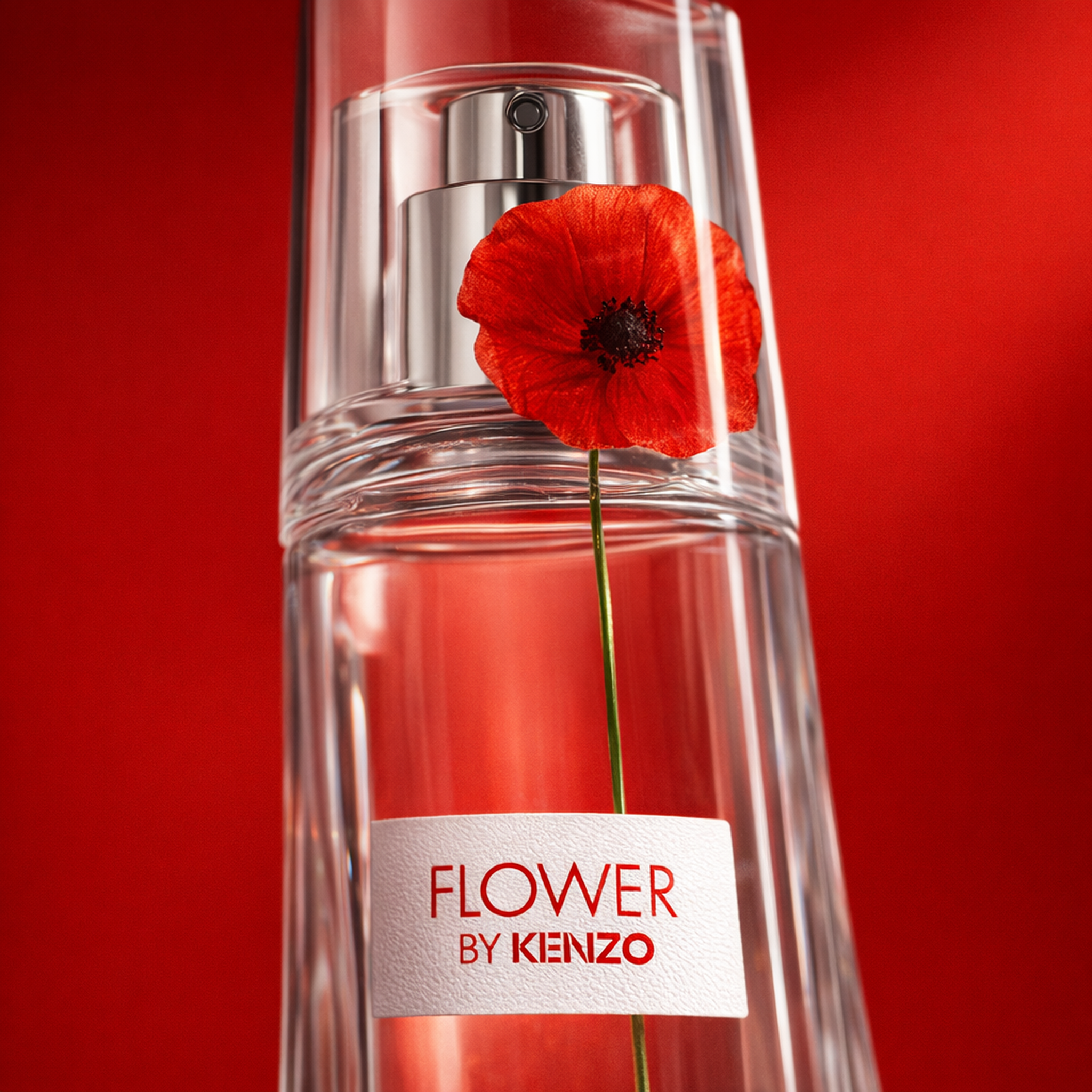 Kenzo Flower EDP Gift Set for Her fragrance details image
