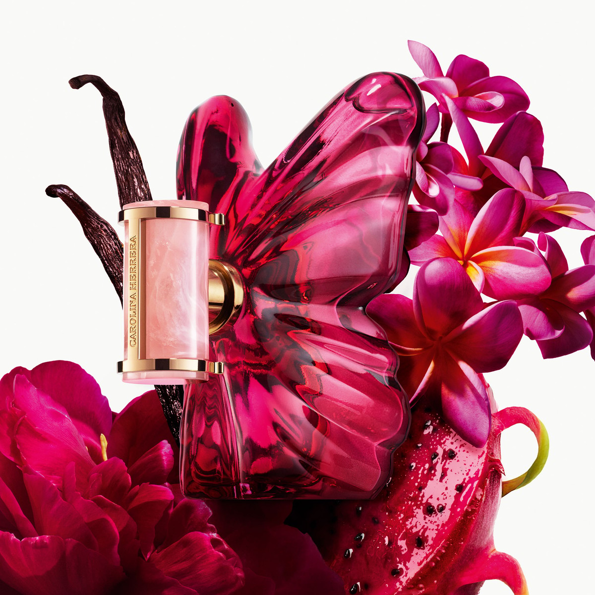 Carolina Herrera La Bomba EDP fragrance notes image