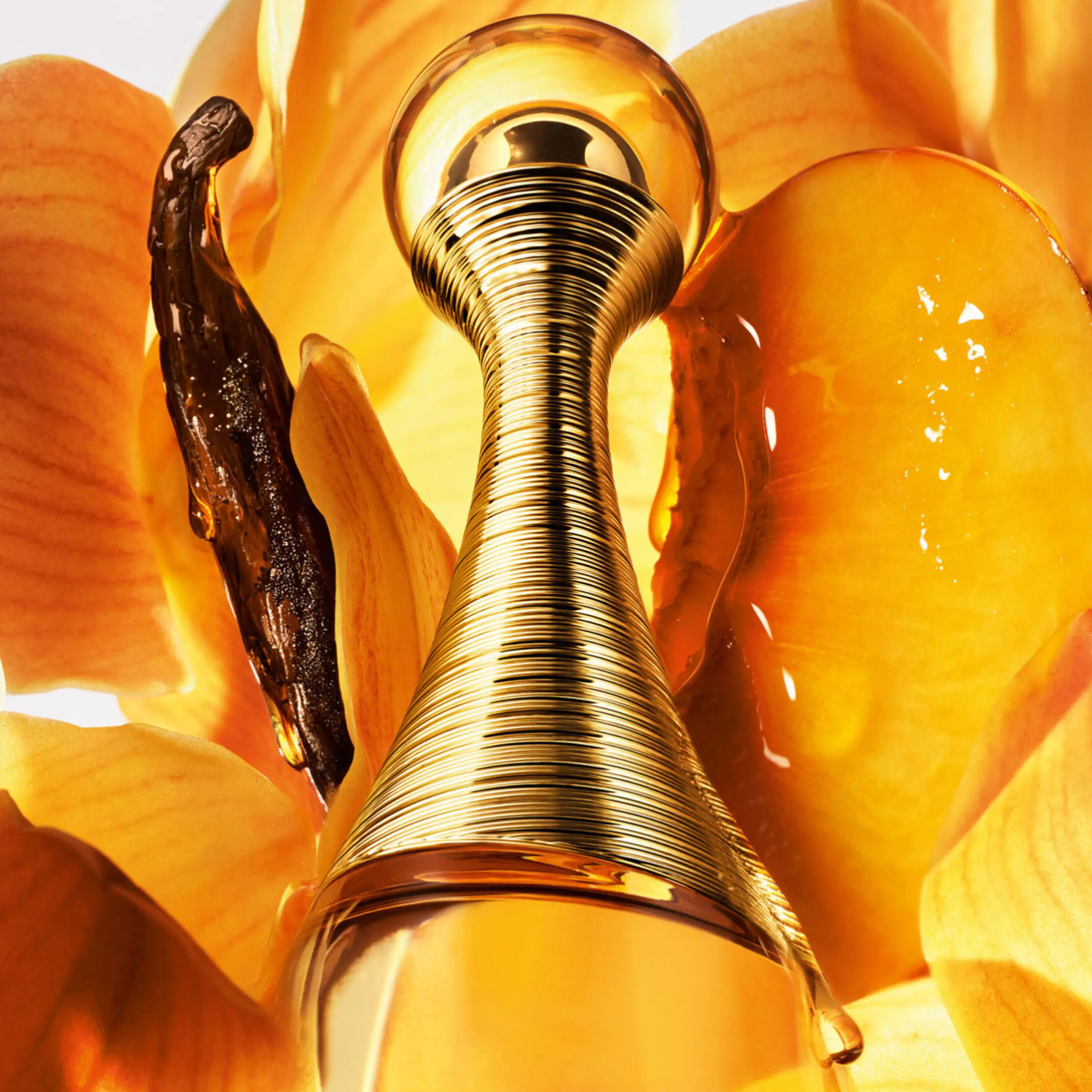 Dior J'Adore Intense Parfum For Women fragrance notes image