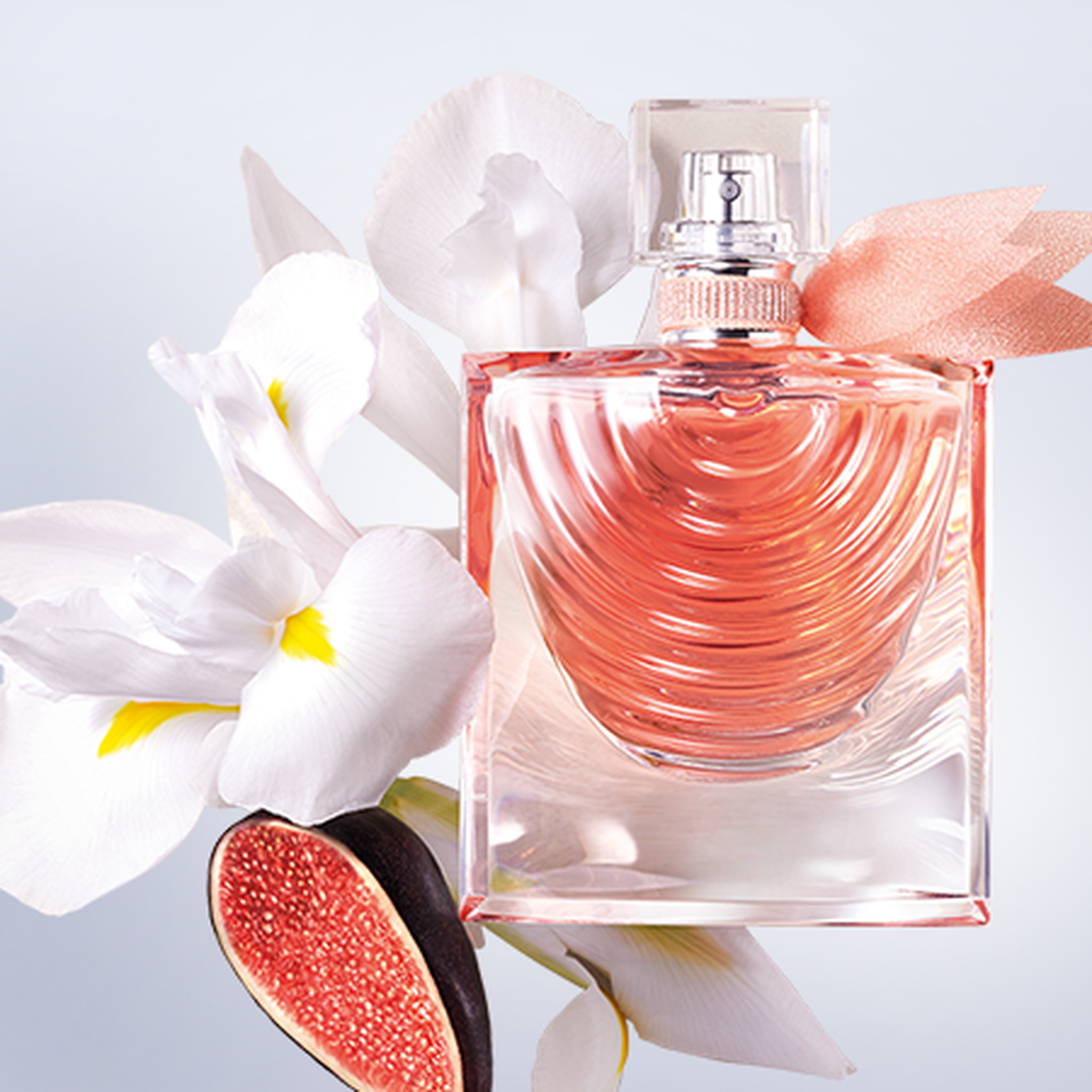 Lancome La Vie Est Belle Iris Absolu EDP For Women fragrance notes image