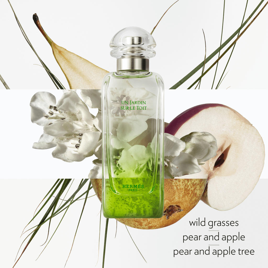 HERMÈS Un Jardin Sur Le Toit Soap fragrance notes image