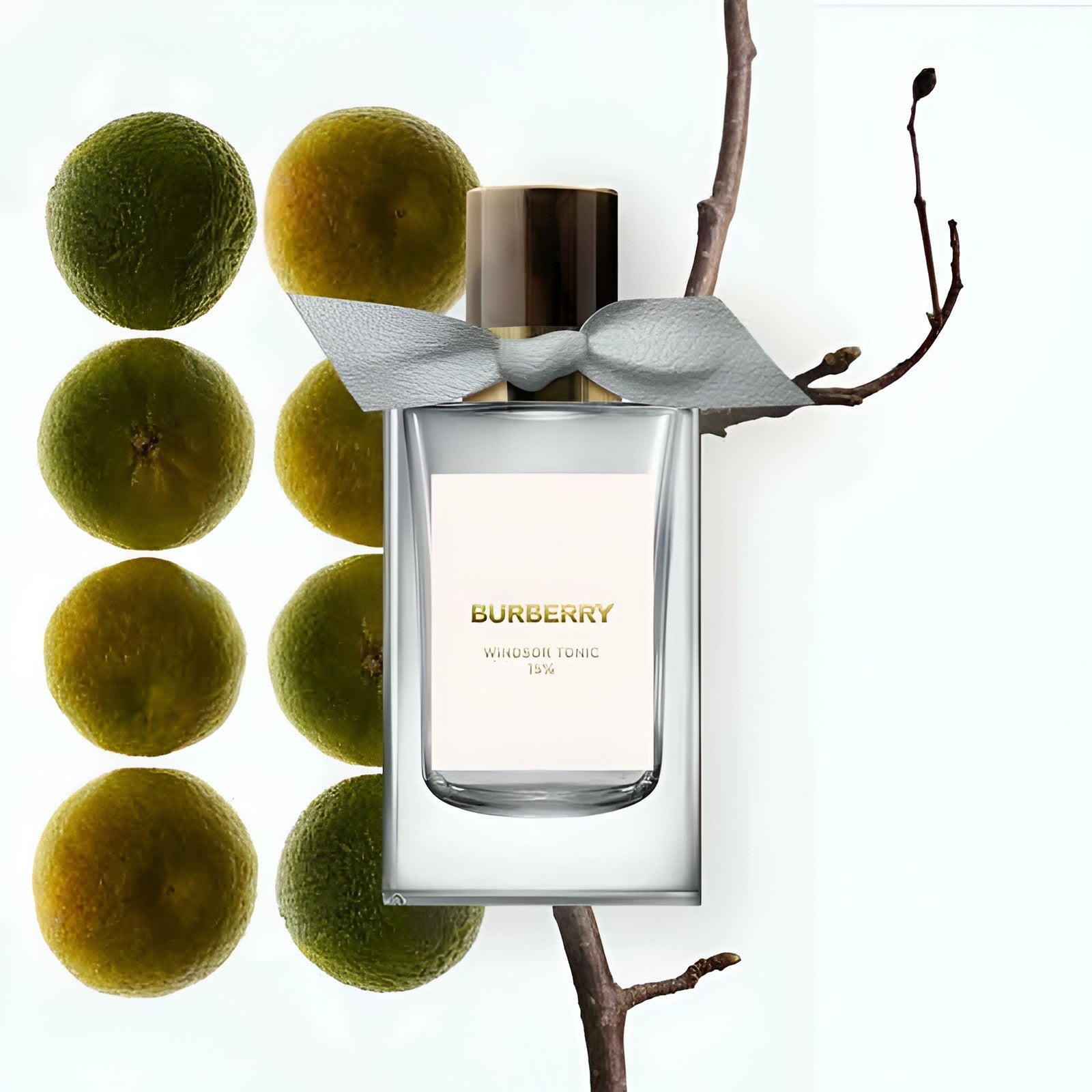 Burberry Bespoke Collection Windsor Tonic 15% EDP