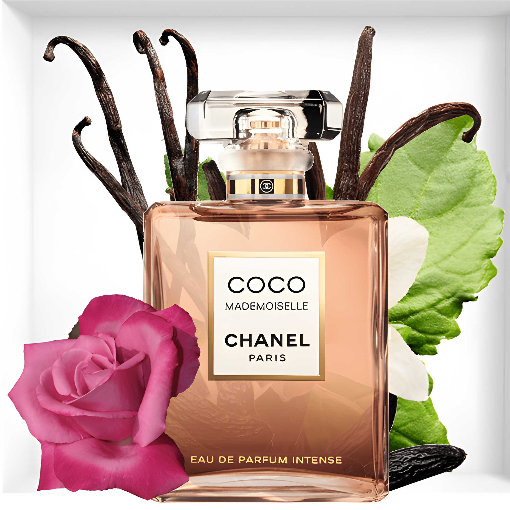 Shop Chanel Coco Mademoiselle Intense EDP