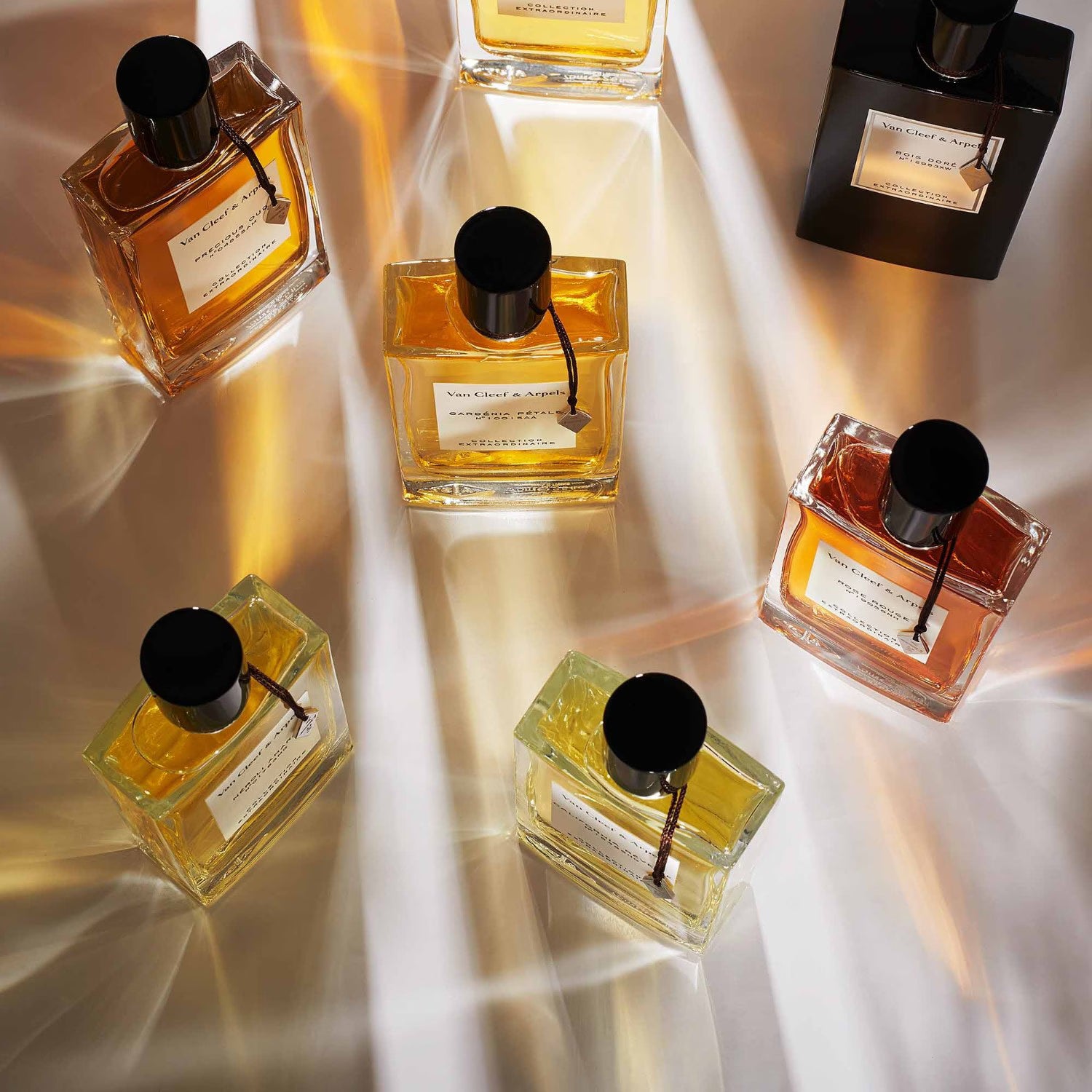 Van Cleef & Arpels Coll Extraordinaire Musc De Soie EDP