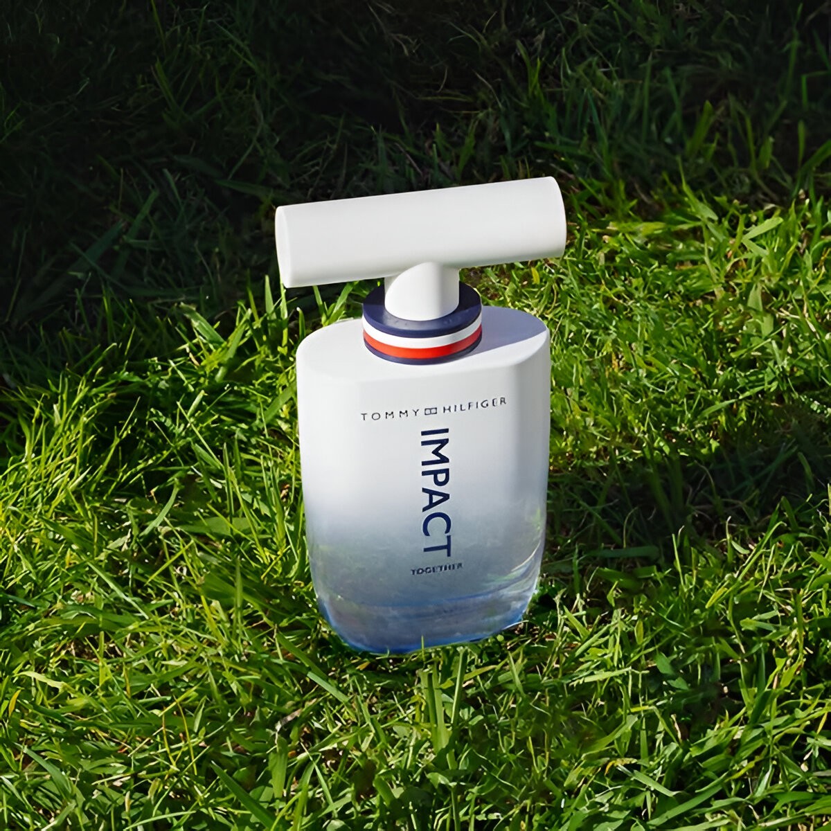 Tommy Hilfiger Impact Together EDT For Men