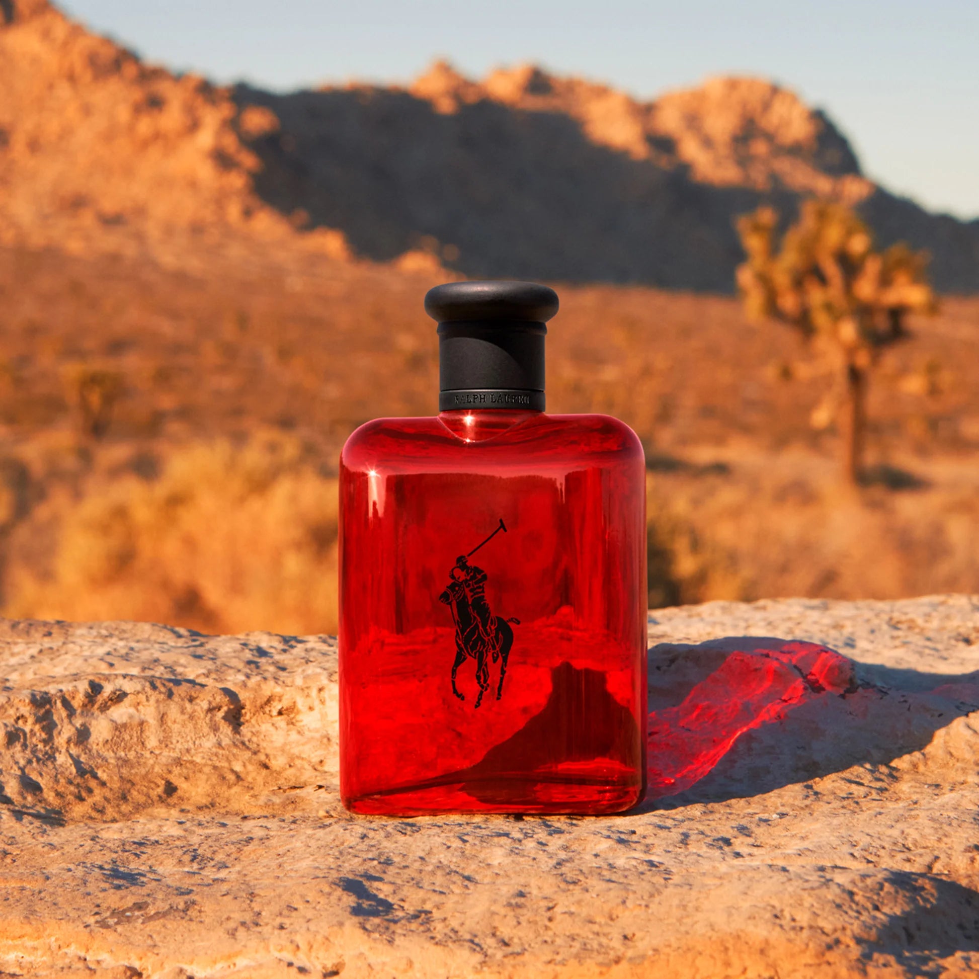 Ralph Lauren Polo Red EDT For Men