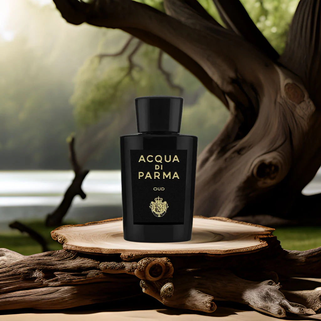 Shop Acqua Di Parma Oud Body Wash