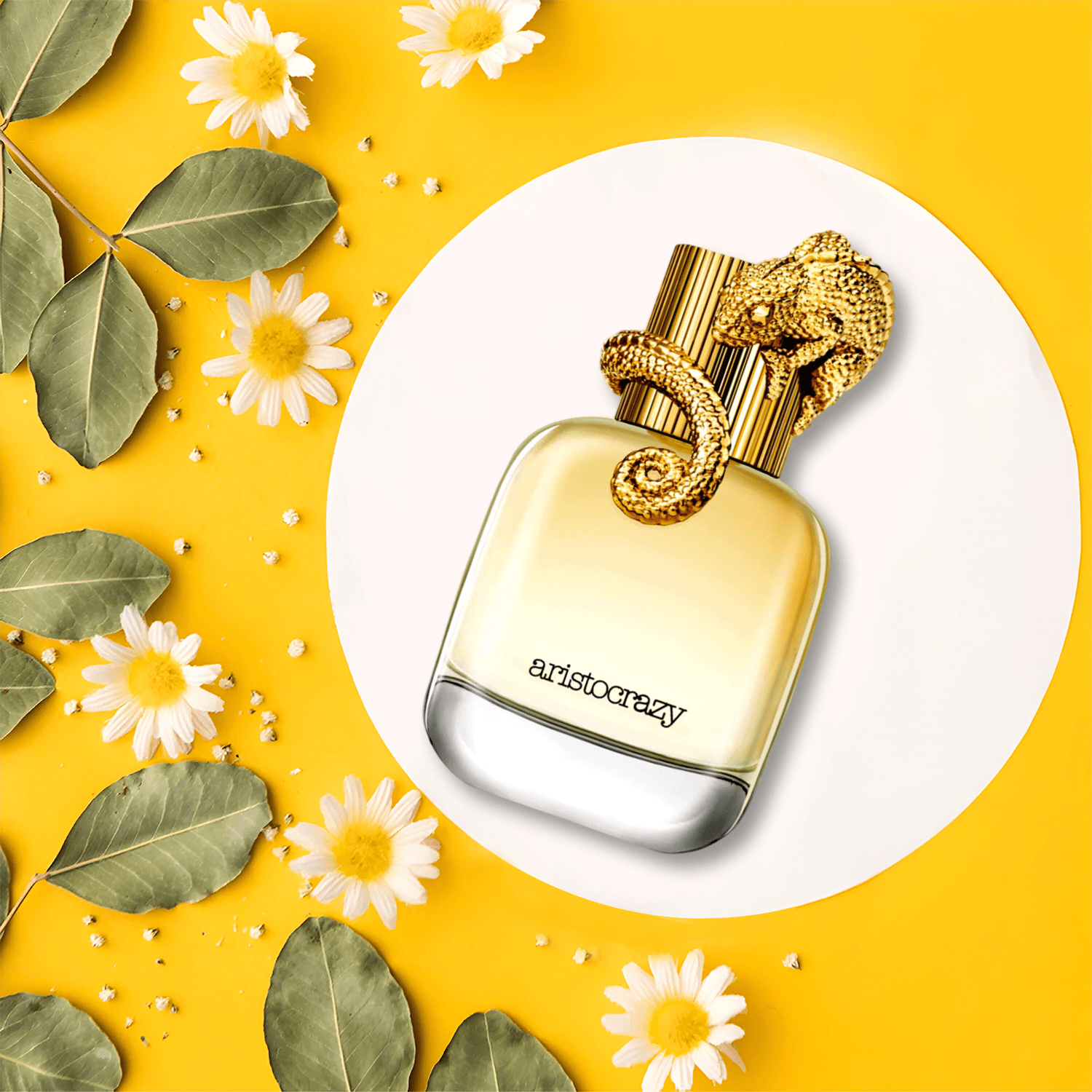 Aristocrazy Intuitive EDT Body Lotion & Travel Set for Women | My Perfume Shop
