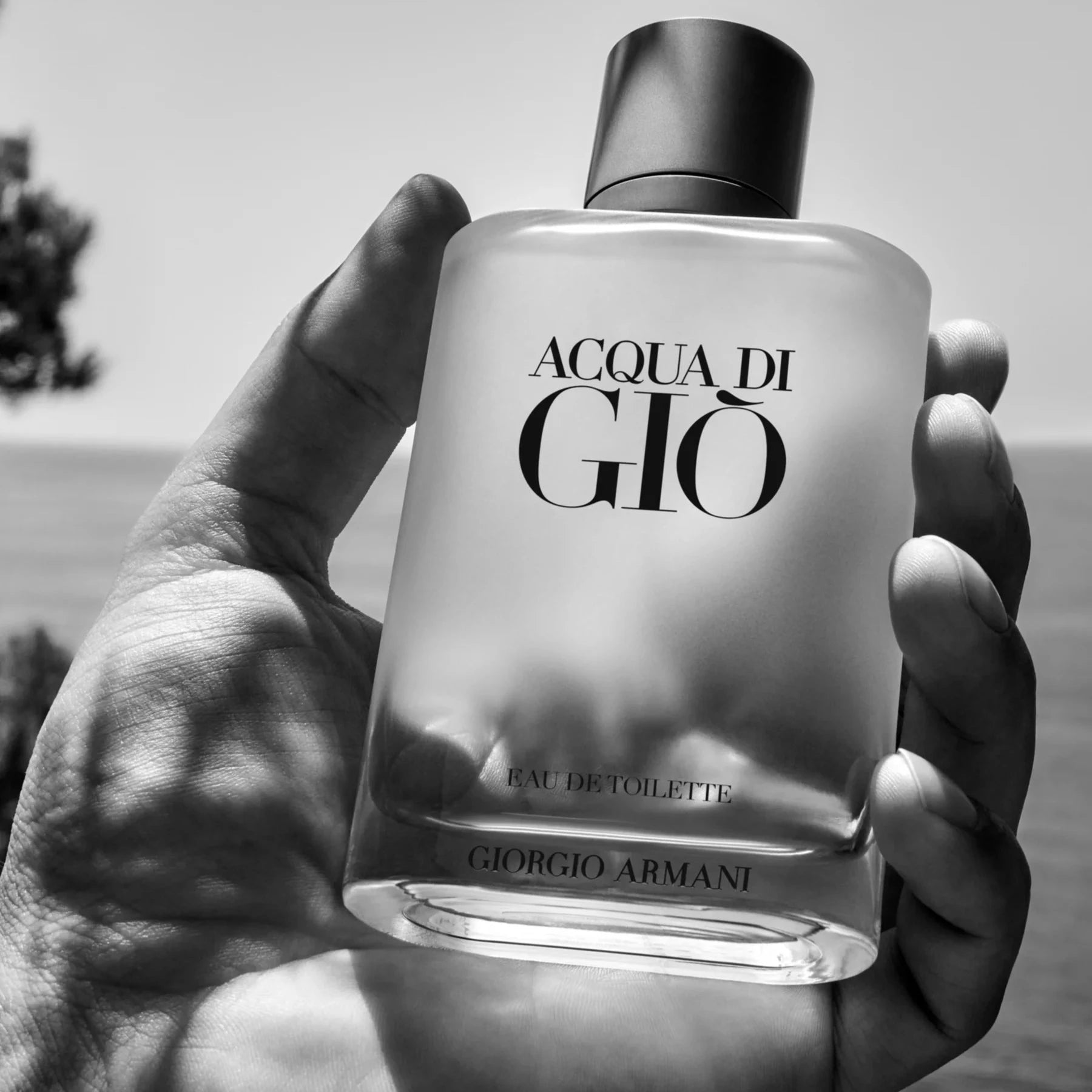 Acqua di gio perfume shop on sale