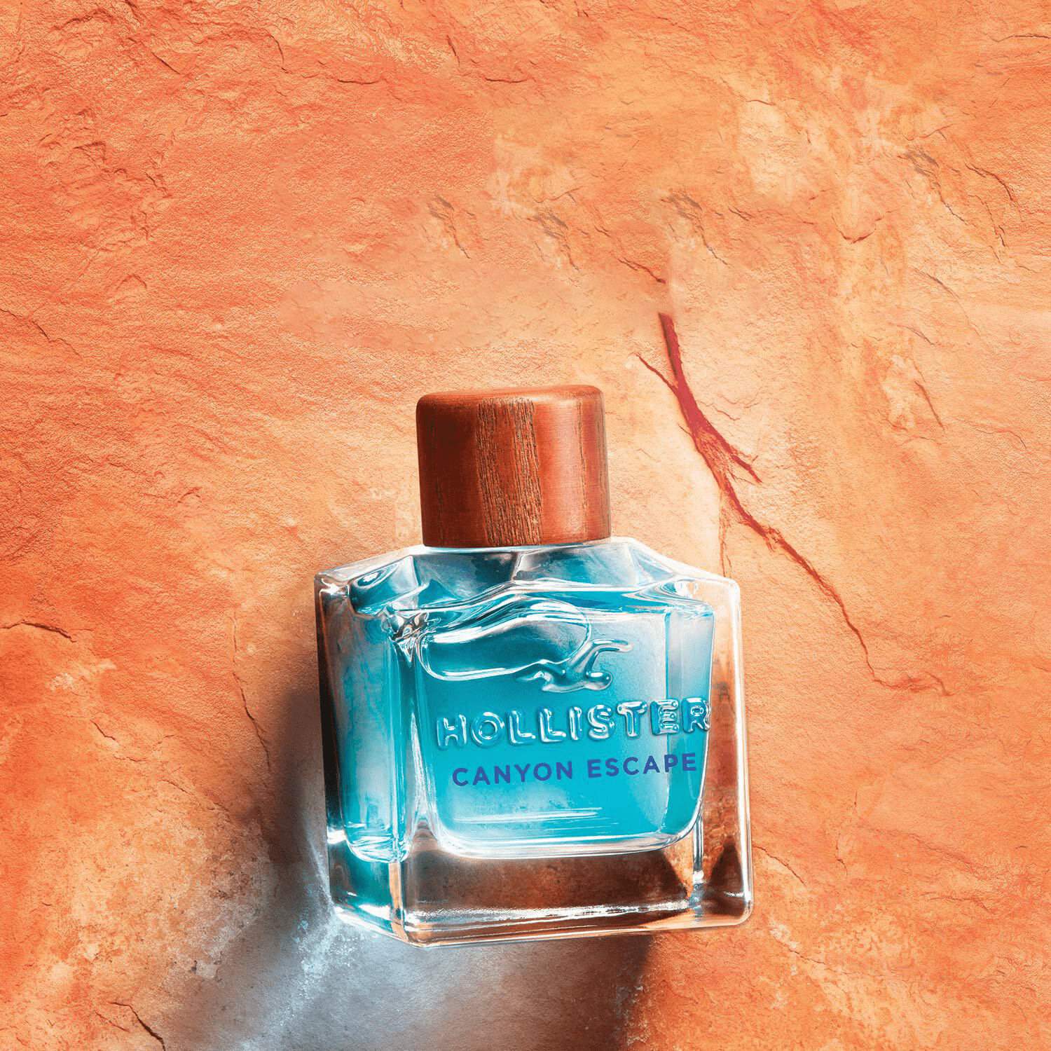Hollister perfume for him clearance