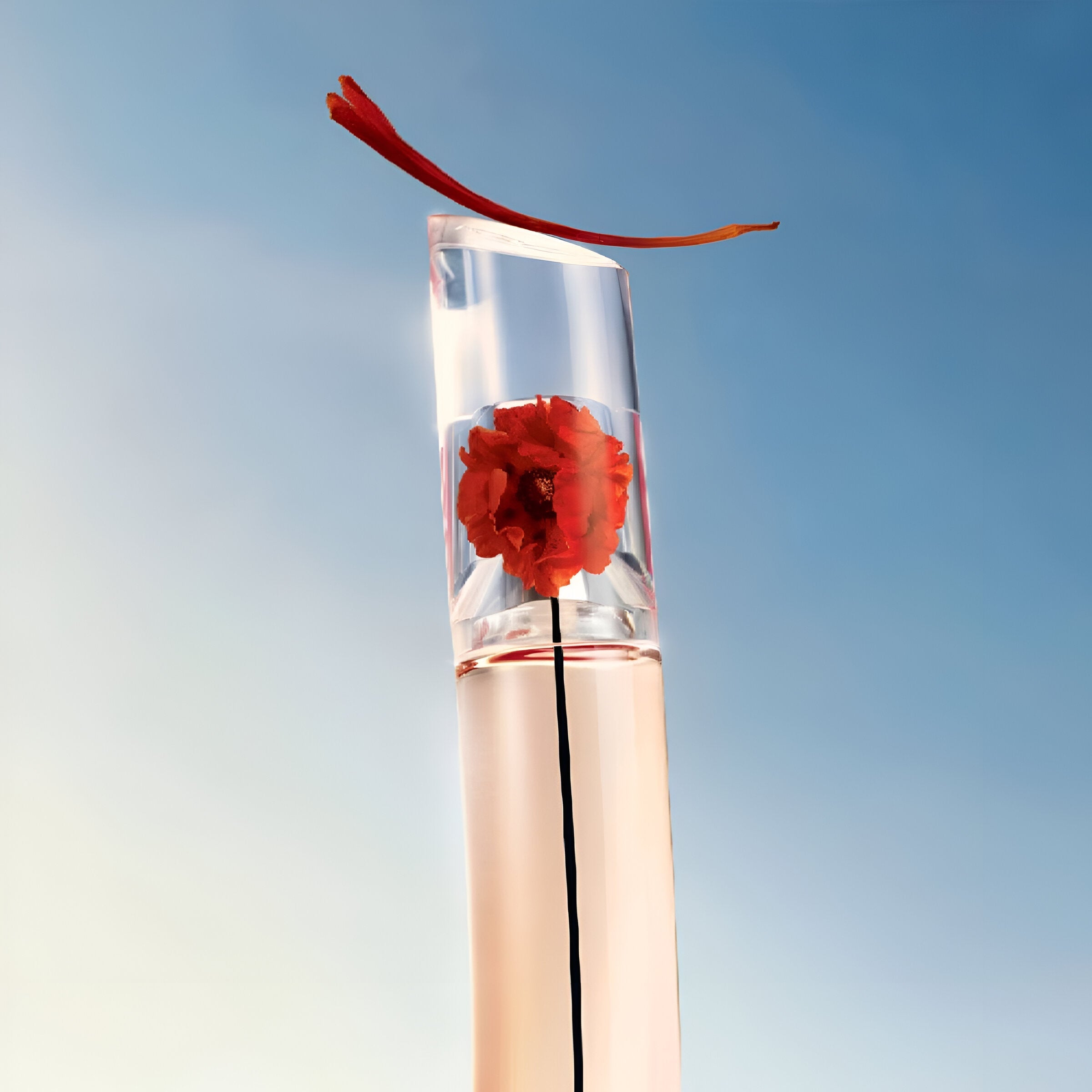 Kenzo Flower By Kenzo L'Absolue EDP Body Cream Set for Women | My Perfume Shop