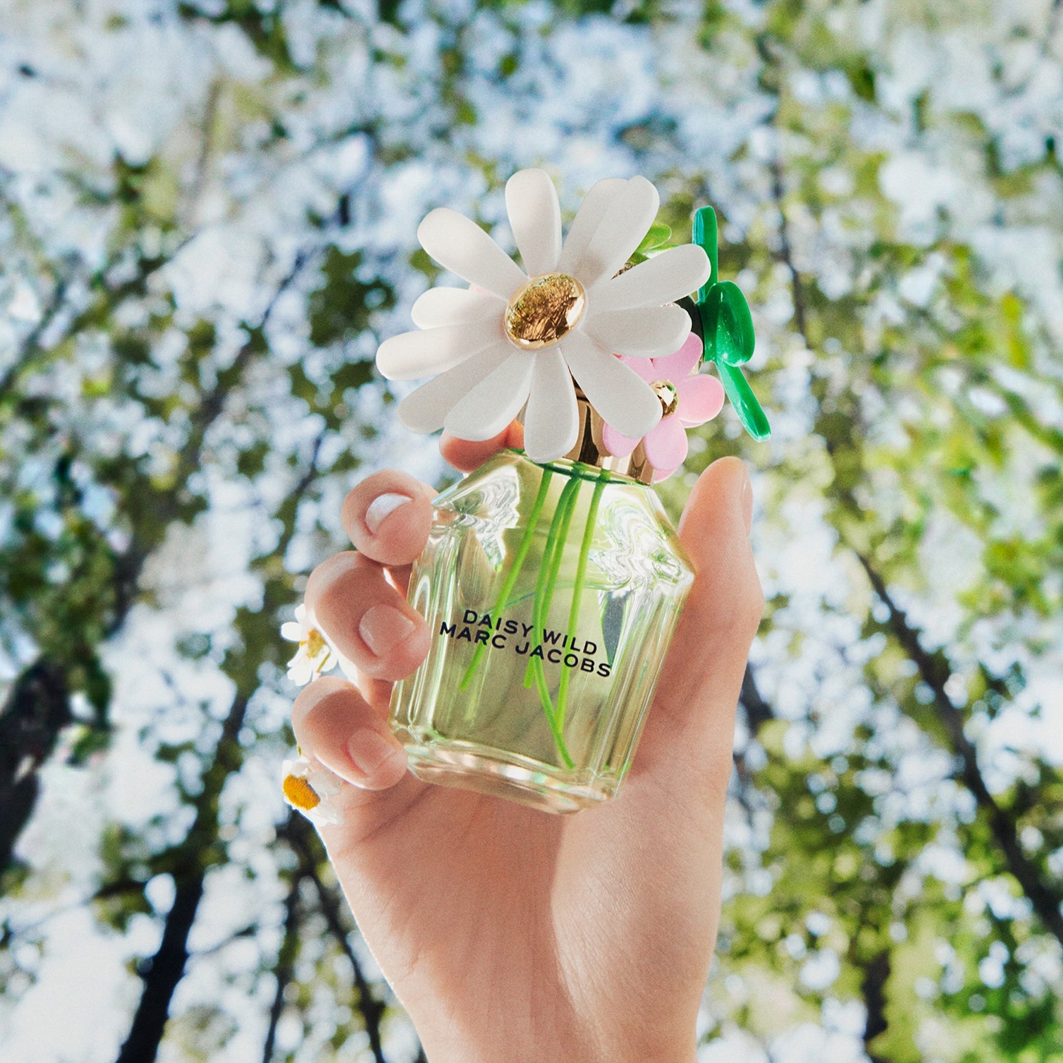 Marc Jacobs Daisy Wild EDP For Women