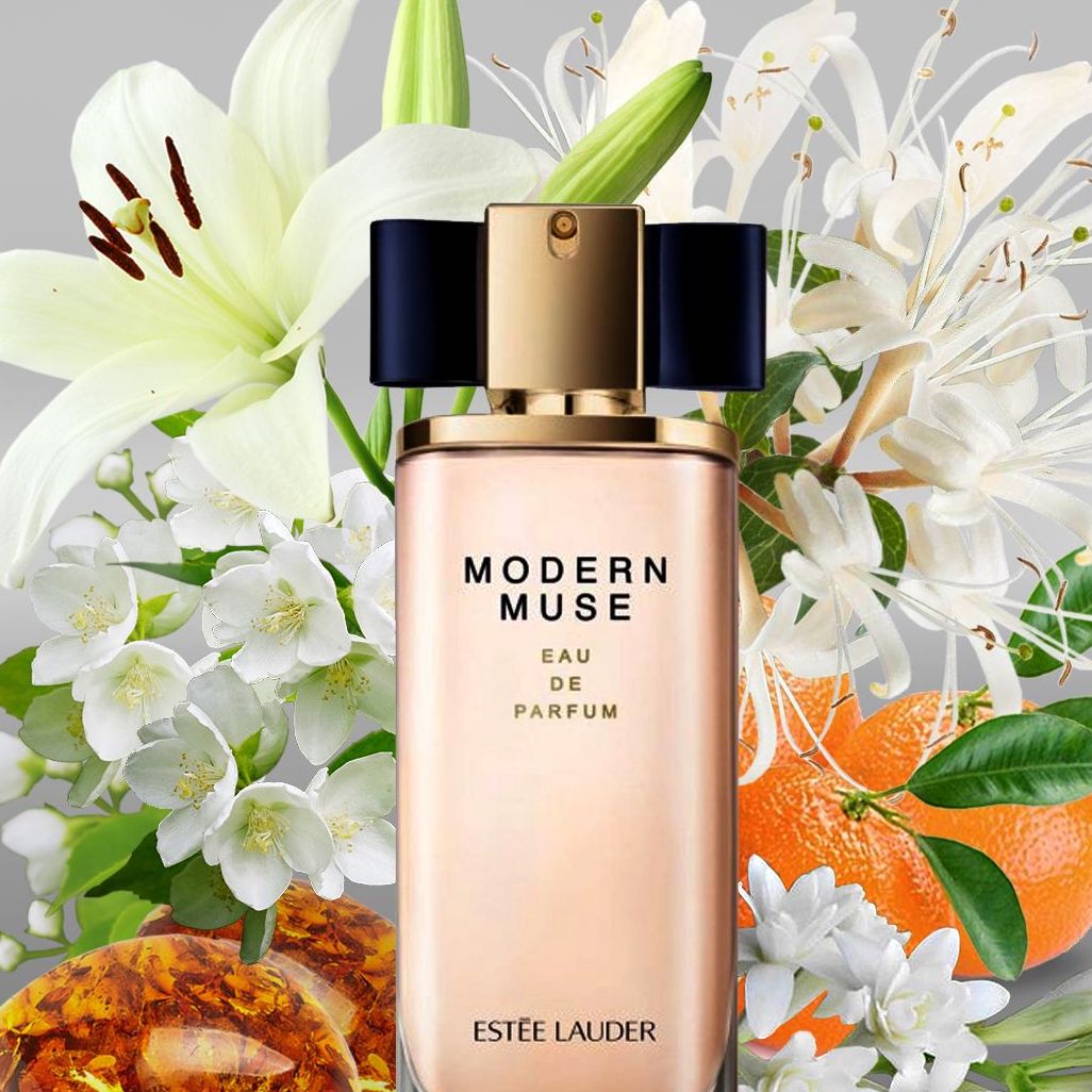 Shop Estee Lauder Modern Muse EDP 50ml My Perfume Shop Middle East Shop Estee Lauder Modern Muse EDP 50ml My Perfume Shop Middle East